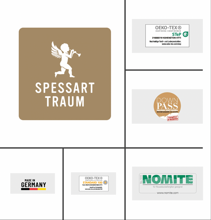 Spessarttraum SILBER 100% Daunendecke Winter, warm