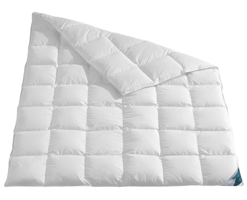 Häussling Königstraum DELUXE 90% Daunendecke 6x8 Karos, medium, Ganzjahr