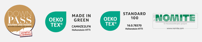 Schlafstil exklusives Kleinkissen D700 (60% Daune)