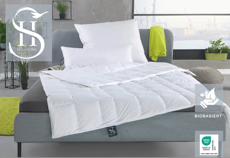 Häussling Select Premium Gänsedaunendecke (780 CUIN), Zwischenkaros, Winter extra warm