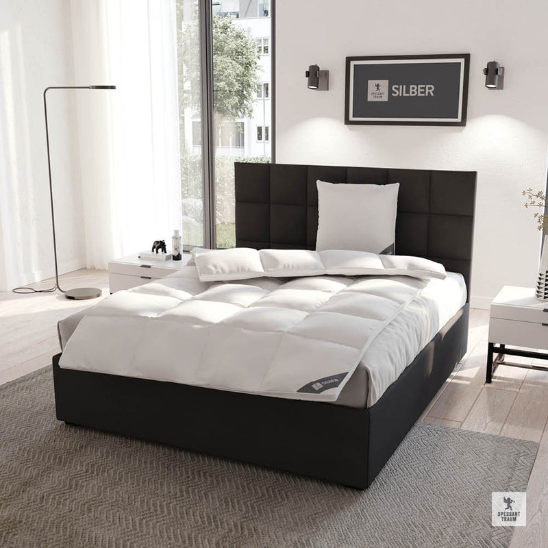 Spessarttraum SILBER 100% Daunendecke Winter, warm