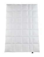 Häussling Select Premium Gänsedaunendecke (780 CUIN), Zwischenkaros, Ganzjahr, medium