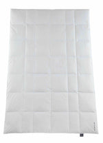 Häussling Select Premium Gänsedaunendecke (780 CUIN), Zwischenkaros, Winter, warm
