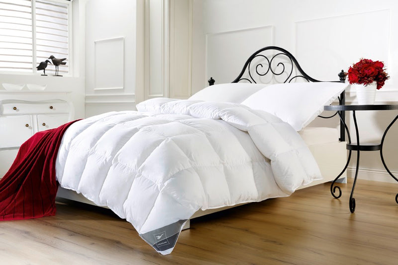 Häussling Königstraum DELUXE 90% Daunendecke 6x8 Karos, medium, Ganzjahr