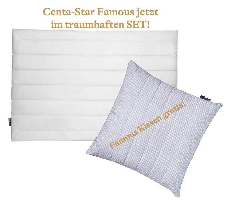 Set-Angebot: Centa-Star  FAMOUS "die Beste", Ganzjahresdecke + FAMOUS Kopfkissen