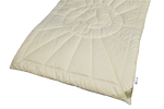 Garanta Bio-Baumwolldecke Cotton (GOTS), Winter