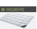 Spessarttraum WILDENTE 100% Daunendecke, 3 cm Innen- und Außensteg, Winter (warm)