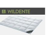 Spessarttraum WILDENTE 100% Daunendecke, Ganzjahr (medium)