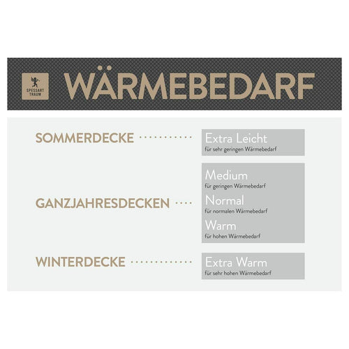 Spessarttraum PLATIN 100% Gänsedaunendecke, extra warm, Winter ("Made in Green")